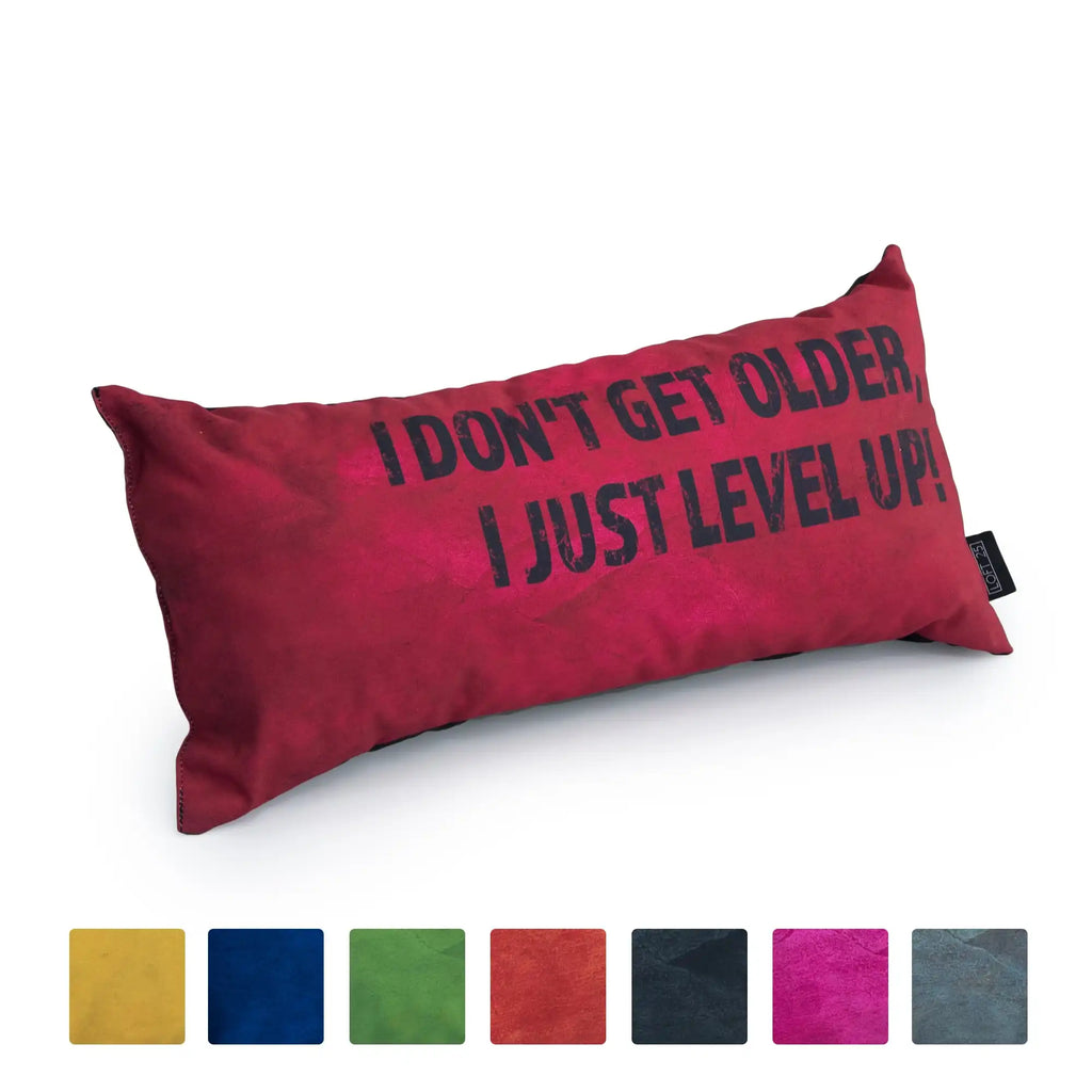 Gaming Cushion I Dont Get Older I Just Level Up